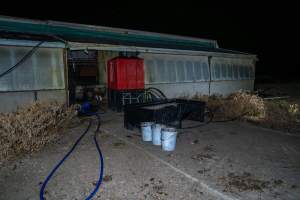 Buckets of dead piglets outside farrowing shed - Captured at EcoPiggery, Leitchville VIC Australia.