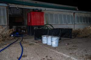 Buckets of dead piglets outside farrowing shed - Captured at EcoPiggery, Leitchville VIC Australia.