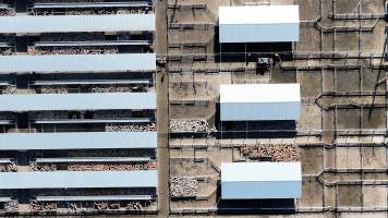 Captured at Dubbo Regional Livestock Markets, Dubbo NSW Australia.