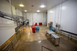 Overview of Slaughterhouse Kill Room and Processing - Captured at MD Foods Australia, Echuca VIC Australia.