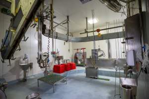 Overview of Slaughterhouse Kill Room and Processing - Captured at MD Foods Australia, Echuca VIC Australia.