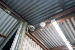 Security Cameras at Slaughterhouse - Captured at MD Foods Australia, Echuca VIC Australia.