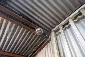 Security Cameras at Slaughterhouse - Captured at MD Foods Australia, Echuca VIC Australia.