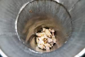 Hooves Of Goats Inside Chute In Slaughterhouse Kill Room - Captured at MD Foods Australia, Echuca VIC Australia.