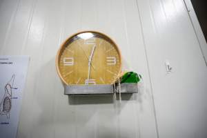 Clock in the Processing Area of Slaughterhouse - Captured at MD Foods Australia, Echuca VIC Australia.