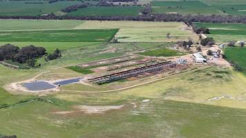 MH Premium Farms - Koorawatha - Captured at Meadowbank, Koorawatha NSW Australia.