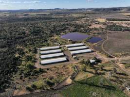 Delvadee Piggery - Aerial view of Delvadee Piggery. - Captured at Delvadee Pty Ltd, Cooranga QLD Australia.