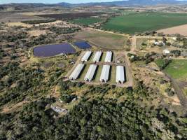 Delvadee Piggery - Aerial view of Delvadee Piggery. - Captured at Delvadee Pty Ltd, Cooranga QLD Australia.