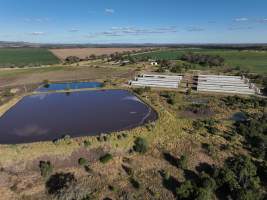 Delvadee Piggery - Aerial view of Delvadee Piggery. - Captured at Delvadee Pty Ltd, Cooranga QLD Australia.