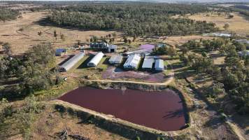 Sligo Piggery - Aerial view of Sligo Piggery. - Captured at Sligo Piggery, Jimbour East QLD Australia.