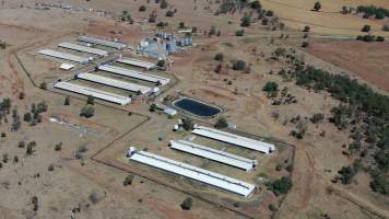 Wongalea Piggery - Aerial view of Wongalea Piggery. - Captured at Wongalea Piggery, Quinalow QLD Australia.