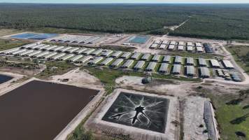 Tong Park Piggery - Aerial view of Tong Park Piggery, Module 4. - Captured at Tong Park Piggery Module 4, Kogan QLD Australia.