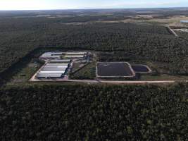 Tong Park Piggery - Aerial view of Tong Park Piggery, Module 3. - Captured at Tong Park Piggery Module 3, Beelbee QLD Australia.