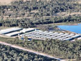 Tong Park Piggery - Aerial view of Tong Park Piggery, Module 2. - Captured at Tong Park Piggery Module 2, Kogan QLD Australia.