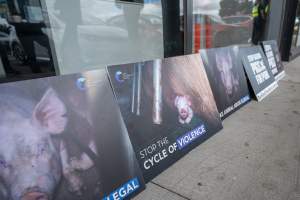 Protesters rallying outside Ros Spence MP's electorate office in Craigieburn - Captured at VIC.