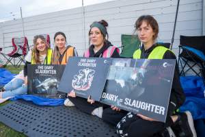 Protestors attending the Cedar Meats Vigil 2024 - Captured at Cedar Meats, Brooklyn VIC Australia.