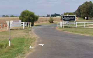 Gumdamain Feedlot - Captured at Gundamain Feedlot, Eugowra NSW Australia.