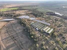 Volkers Piggery - Aerial view of Volkers Piggery - Captured at Possibly 'Volkers Piggery', Felton QLD Australia.