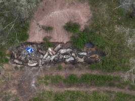 Scott & Teresa Holding Piggery - Aerial view of a dead pit close to the Scott & Teresa Holding Piggery. - Captured at Scott & Teresa Holding, Cloyna QLD Australia.