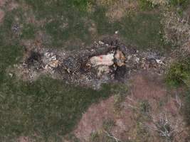 Scott & Teresa Holding Piggery - Aerial view of a dead pit close to the Scott & Teresa Holding Piggery. - Captured at Scott & Teresa Holding, Cloyna QLD Australia.