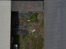 Summerhill Piggery - Aerial view showing deceased pigs dumped outside of Summerhill Piggery. - Captured at Summerhill Piggery, Bowenville QLD Australia.