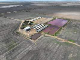 Summerhill Piggery - Aerial view of Summerhill Piggery. - Captured at Summerhill Piggery, Bowenville QLD Australia.