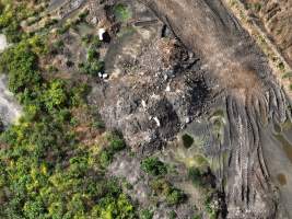 Summerhill Piggery - Aerial view of dead pile outside Summerhill Piggery. - Captured at Summerhill Piggery, Bowenville QLD Australia.