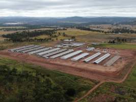 Wilson Pork Piggery - Aerial view of Wilson Pork Piggery - Captured at Wilson Pork, Windera QLD Australia.