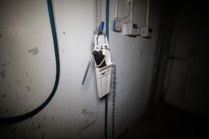 Knives in kill room - Knives used to butcher animals - Captured at Crows Nest Meatworks, Crows Nest QLD Australia.