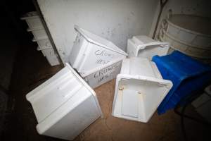 Buckets in kill room - Buckets bearing the slaughterhouses name. Used to deposit organs, skins and body parts. - Captured at Crows Nest Meatworks, Crows Nest QLD Australia.