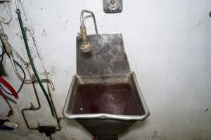 A sink filled with blood - Captured at Crows Nest Meatworks, Crows Nest QLD Australia.