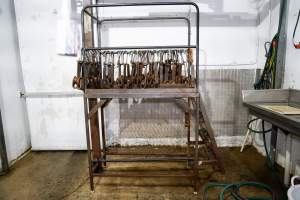 Shackles in kill room - Shackles hang on a platform. Animals are hung upside down on a shackle line where their skin and hair is removed. - Captured at Crows Nest Meatworks, Crows Nest QLD Australia.