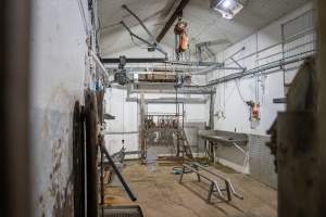 A view of the kill room - Captured at Crows Nest Meatworks, Crows Nest QLD Australia.