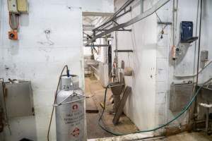 A view of the kill room - Captured at Crows Nest Meatworks, Crows Nest QLD Australia.