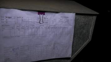 Farrowing chart - A chart showing pregnancy and birth data for a farrowing shed - Captured at Calivil Breeder, Calivil VIC Australia.