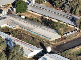 Drone flyover - Aerial view of piggry - Captured at Markanda Piggery, Wyuna East VIC Australia.