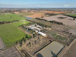 Drone flyover - Aerial view of piggry - Captured at Markanda Piggery, Wyuna East VIC Australia.