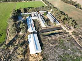 Drone flyover - Aerial view of piggry - Captured at Markanda Piggery, Wyuna East VIC Australia.