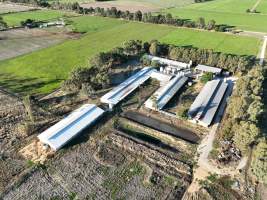 Drone flyover - Aerial view of piggry - Captured at Markanda Piggery, Wyuna East VIC Australia.