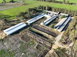 Drone flyover - Aerial view of piggry - Captured at Markanda Piggery, Wyuna East VIC Australia.