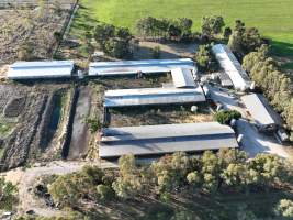 Drone flyover - Aerial view of piggry - Captured at Markanda Piggery, Wyuna East VIC Australia.