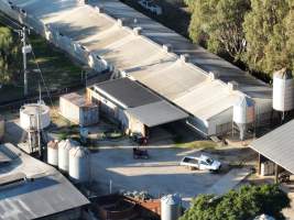 Drone flyover - Aerial view of piggry - Captured at Markanda Piggery, Wyuna East VIC Australia.