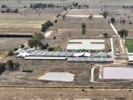 Drone flyover - Aerial view of piggery - Captured at Girgarre Piggery, Girgarre VIC Australia.