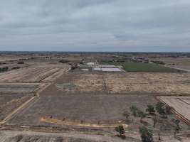 Drone flyover - Aerial view of piggery - Captured at Girgarre Piggery, Girgarre VIC Australia.