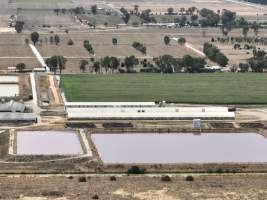 Drone flyover - Aerial view of piggery - Captured at Girgarre Piggery, Girgarre VIC Australia.