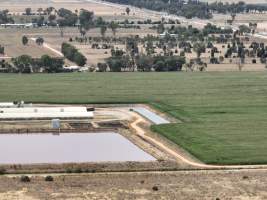 Drone flyover - Aerial view of piggery - Captured at Girgarre Piggery, Girgarre VIC Australia.