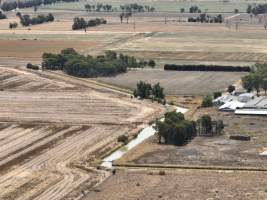 Drone flyover - Aerial view of piggery - Captured at Girgarre Piggery, Girgarre VIC Australia.