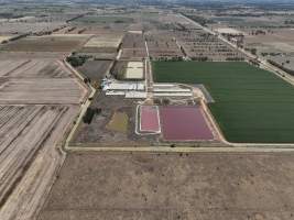 Drone flyover - Aerial view of piggery - Captured at Girgarre Piggery, Girgarre VIC Australia.