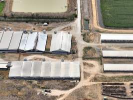 Drone flyover - Aerial view of piggery - Captured at Girgarre Piggery, Girgarre VIC Australia.