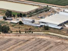 Drone flyover - Aerial view of piggery - Captured at Girgarre Piggery, Girgarre VIC Australia.